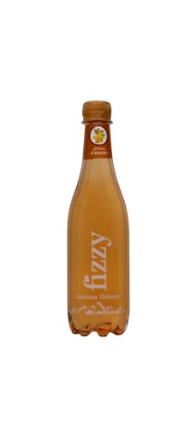 Fizzy Gazzosa Moscato PET - Bestellartikel